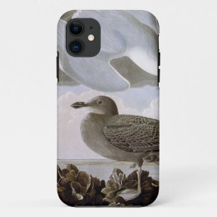 Etui iPhone Case-Mate Audubon : Mouette d'harengs