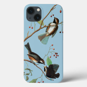 Coques Pour iPhone Audubon : Pickadee