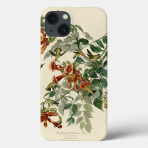 Etui iPhone Case-Mate Audubon Throsé de colibri