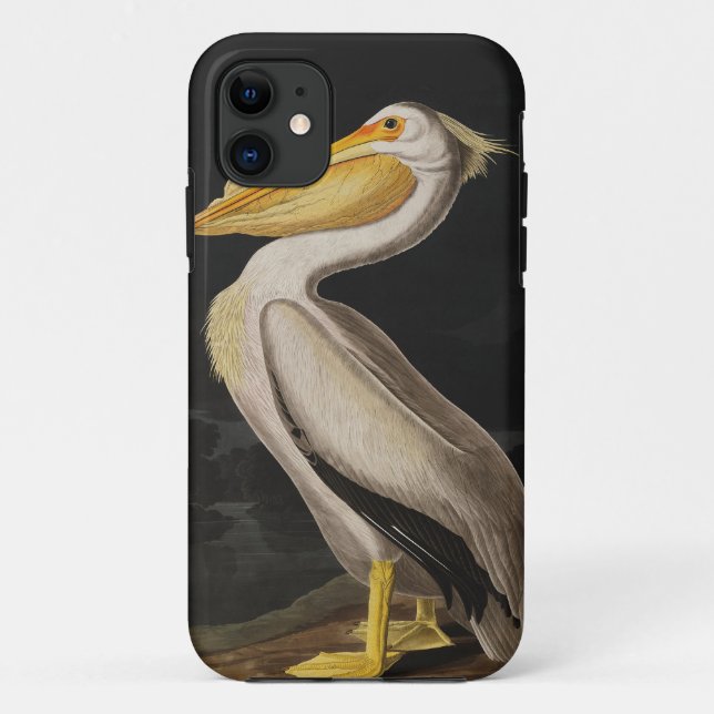 Coques Case-Mate iPhone Audubon White Pelican Bird Amérique (Dos)
