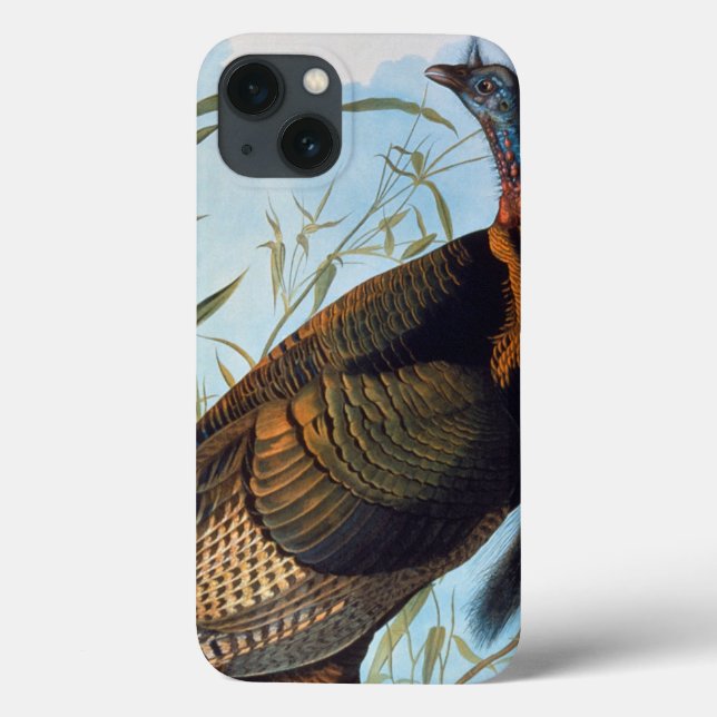 Coques Case-Mate iPhone Audubon : Wild Turkey (Verso)