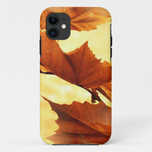 Coque iPhone 11 Automne