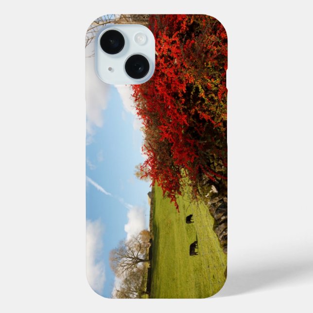 Coques Case-Mate iPhone Automne dans le pays (Verso)