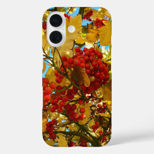 Coques iPhone 16 Automne Rouge Berry orange Arbre de la Couronne Ph