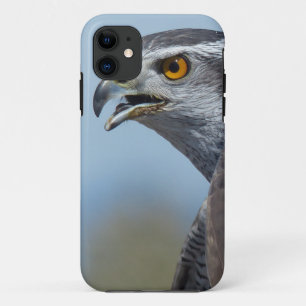 Coque Case-Mate Pour iPhone Autour des palombes criant