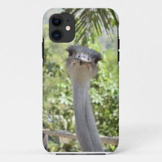 Coque iPhone 11 Autruche
