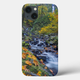 Etui iPhone Case-Mate Autumn Color Along Starvation Creek Falls