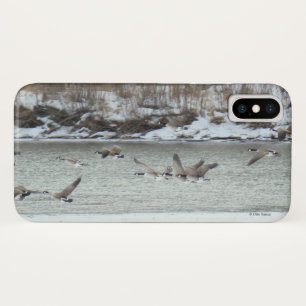 Case-Mate iPhone Case B7 Bernaches du Canada