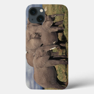 Etui iPhone Case-Mate Baby African Elephant with family