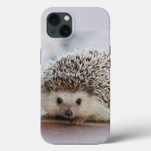 Case-Mate iPhone Case Baby hedgehog