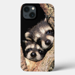 Case-Mate iPhone Case Baby Raccoons Peeking out of Tree