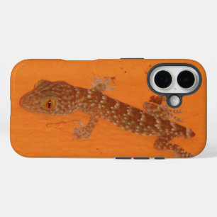 Coques iPhone 16 Baby Tokay Gecko