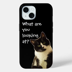 Coque Pour iPhone 15 Badass Chat "Que cherchez-vous ?"