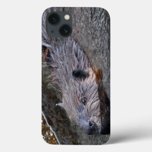 Etui iPhone 13 Baignade mignonne Castor sauvage Photo Faune