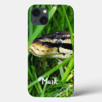 Ball Python serpent dans l'herbe