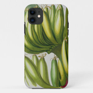 Coque iPhone 11 Banane, gravée par Johann Jakob Haid (1704-67) pl