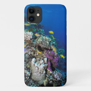 Case-Mate iPhone Case Banc de rougets autour d'un petit corail