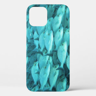 Case-Mate iPhone Case Barrière de corail de poisson tropical, vie marine