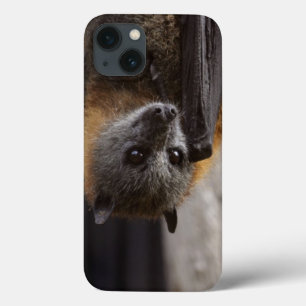 iPhone 13 Case Batte australienne