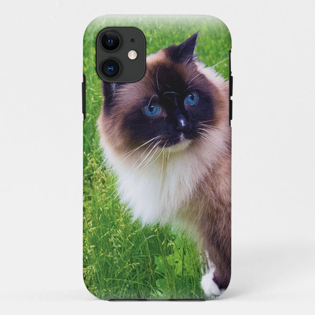 Coques Case-Mate iPhone Beau chat de Ragdoll (Dos)