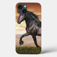 Beau Cheval Noir