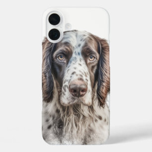 COQUES iPhone 16 PLUS BEAU CHIEN DE SETTER ANGLAIS BROWN ET BLANC