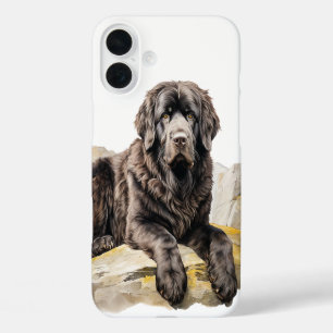 COQUES iPhone 16 PLUS BEAU CHIEN NOIR DE TERRE-NEUVE
