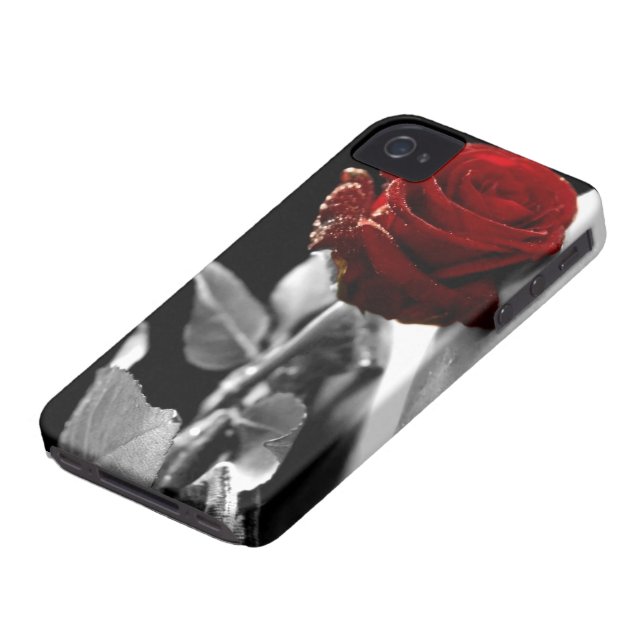 Coques Case-Mate iPhone Beau rose rouge avec l'arrière - plan noir et (Bas)