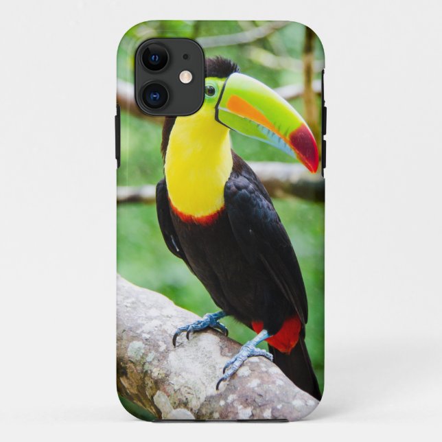 Coques Case-Mate iPhone Beau toucan (Dos)