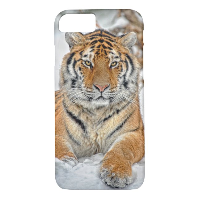 Coques Case-Mate iPhone Beauté de tigre dans la neige (Dos)