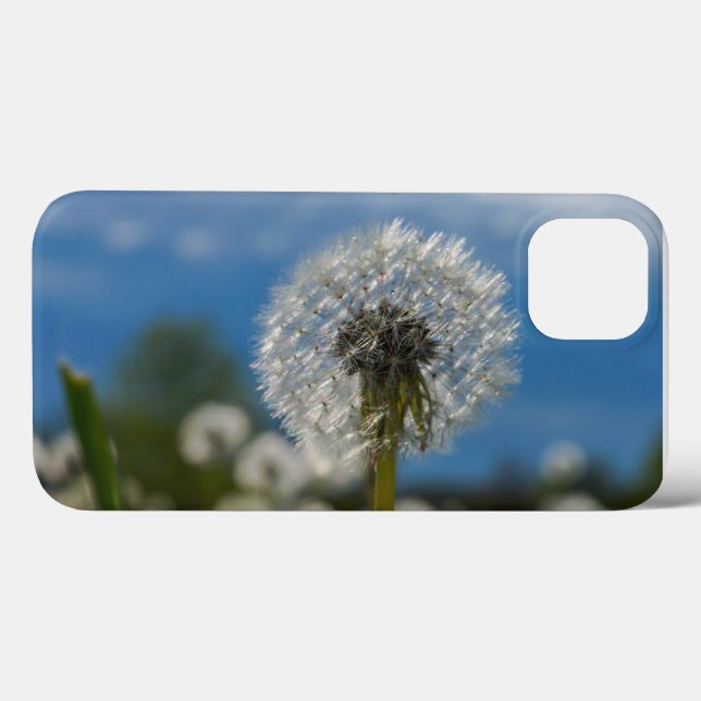 Coques Case-Mate iPhone Beauté d'un pissenlit (Verso (horizontal))
