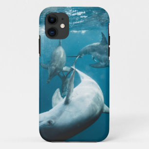 Case-Mate iPhone Case Beaux dauphins mignons