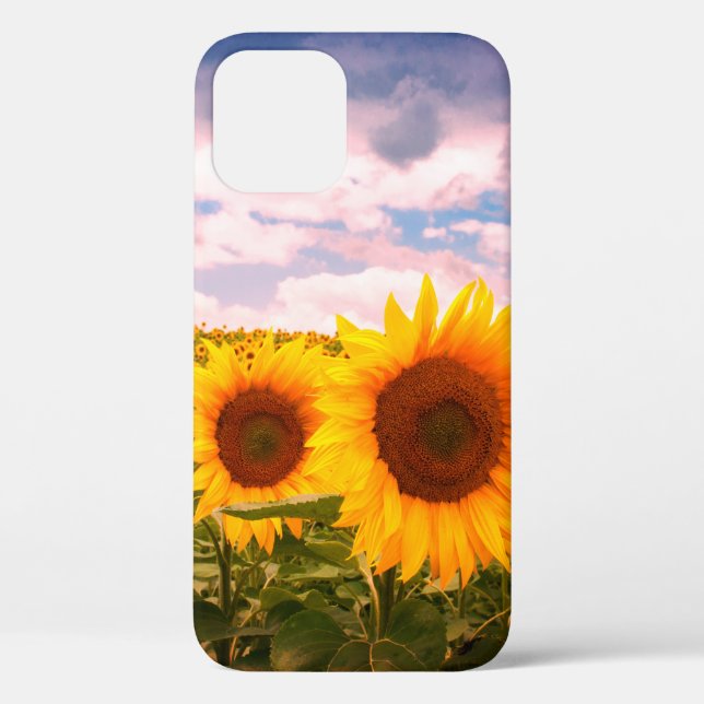 Coques Case-Mate iPhone Beaux tournesols d'été  (Verso)