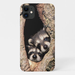 Case-Mate iPhone Case Bébé Raccoons se jetant dans l'arbre