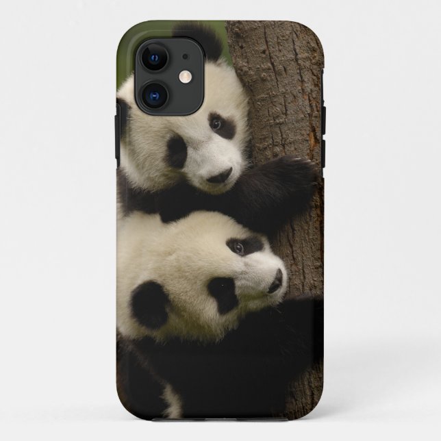 Coques Case-Mate iPhone Bébés panda géants (Ailuropoda melanoleuca) 2 (Dos)