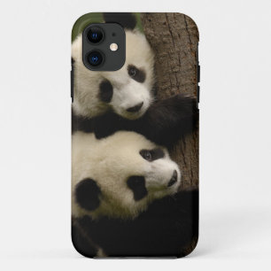 Coques Pour iPhone Bébés pandas géants (Ailuropoda melanoleuca) 2
