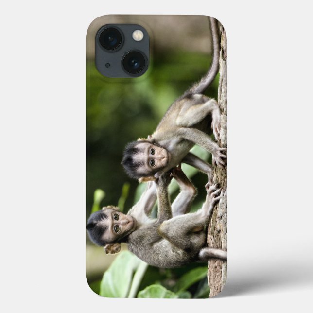 Coques Case-Mate iPhone Bébés singes dans la nature (Verso)