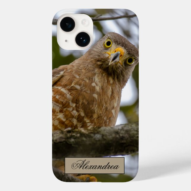 Coques Case-Mate iPhone Belize Brown Roadside Hawk Bird Photographie (Verso)