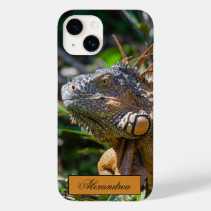 Coque Pour iPhone 14 Belize Orange Iguana Lizard Photographie