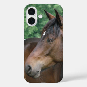 Coques iPhone 16 Belle Baie Cheval Face