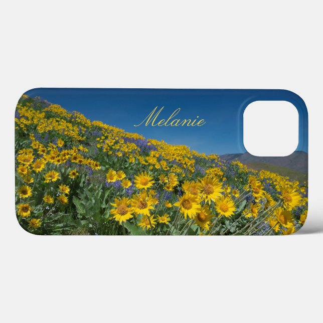 Coques Case-Mate iPhone Belle fleur de Balsamroot (Verso (horizontal))