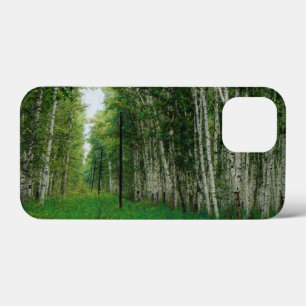 Etui iPhone Case-Mate Belle forêt de bouleaux