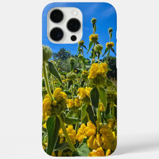 Coques iPhone 16 Pro Max belle Jérusalem jaune fleurs sauge