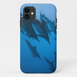 Case-Mate iPhone Case Belles Créatures Océaniques