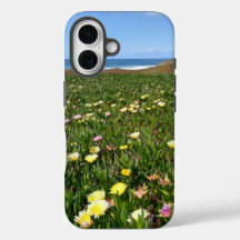 Belles fleurs côtières / Vue océan photo