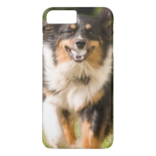 Coques Pour iPhone Berger Australien Jouant Avec Balle