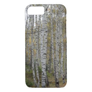Etui iPhone Case-Mate Birch forest Photo Apple iPhone 8/7, à peine là