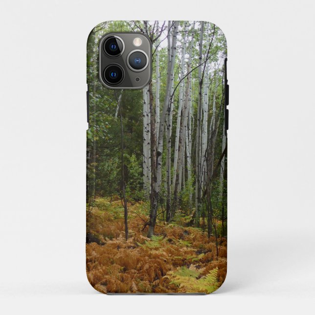 Coques Case-Mate iPhone Birch Trees blancs et fougères d'automne à Rocky M (Dos)