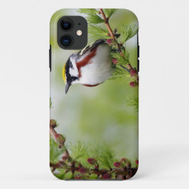 Coque Case-Mate Pour iPhone BIRD grey_iphone