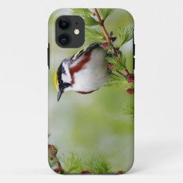 Etui iPhone Case-Mate BIRD grey_iphone